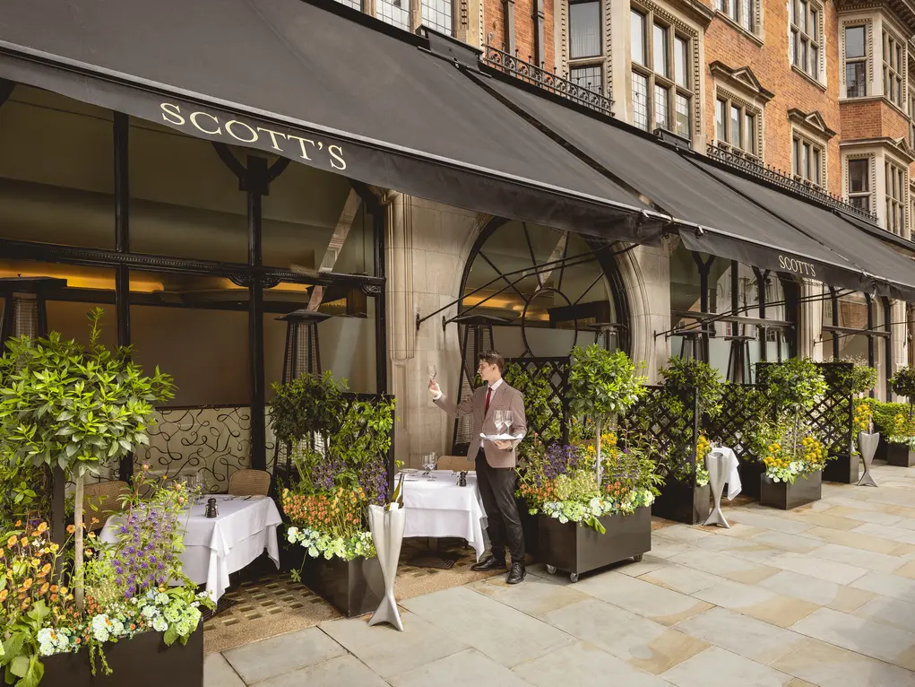 The outdoor terrace of Scott's with tables with white tablecloths and large plants